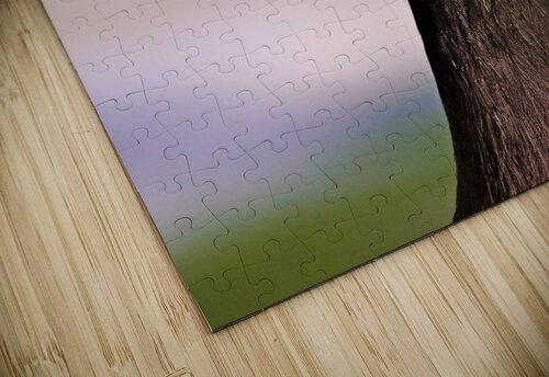 4206 mohamed elabari puzzle