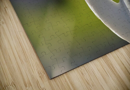 4210 mohamed elabari puzzle