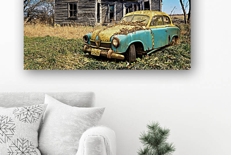 4208 Reproduction