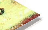 004 HD Metal print