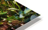 068 HD Metal print