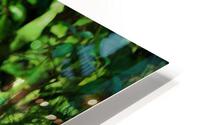 070 HD Metal print