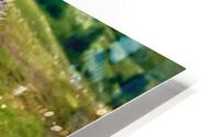 073 HD Metal print