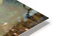 089 HD Metal print