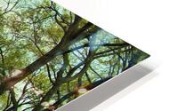 090 HD Metal print