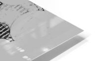 142 HD Metal print
