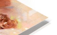 206 HD Metal print