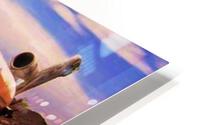 225 HD Metal print