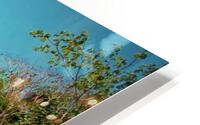 231 HD Metal print