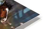 233 HD Metal print