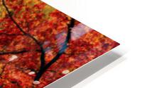 241 HD Metal print