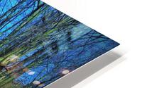 243 HD Metal print