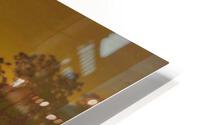 244 HD Metal print