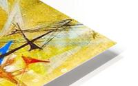 298 HD Metal print