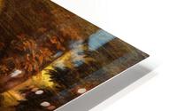 299 HD Metal print
