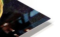 310 HD Metal print
