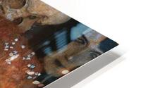 312 HD Metal print