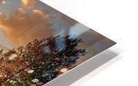 329 HD Metal print
