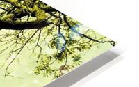 335 HD Metal print