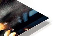 340 HD Metal print