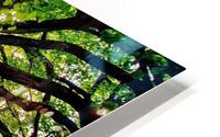 347 HD Metal print