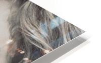 359 HD Metal print