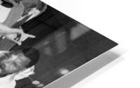 366 HD Metal print