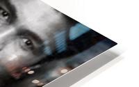 367 HD Metal print