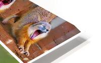 368 HD Metal print