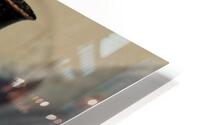 467 HD Metal print