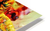 470 HD Metal print