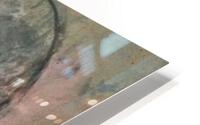488 HD Metal print