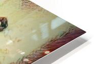 489 HD Metal print