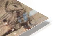 517 HD Metal print