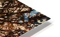 519 HD Metal print