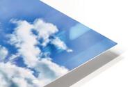 529 HD Metal print