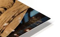 554 HD Metal print