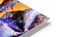 558 HD Metal print