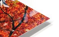 567 HD Metal print