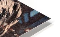 594 HD Metal print