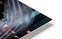 595 HD Metal print
