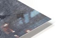 600 HD Metal print
