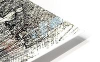 607 HD Metal print
