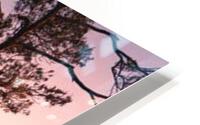 641 HD Metal print