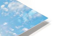 642 HD Metal print