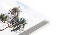 660 HD Metal print