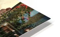 665 HD Metal print