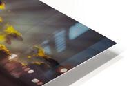 676 HD Metal print