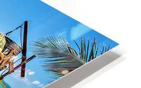 690 HD Metal print