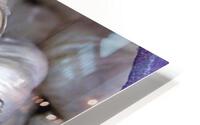 697 HD Metal print